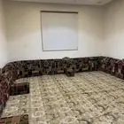 مساند ظهر للبيع