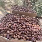 تمر خلاص و سري