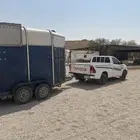 عربة نقل خيل فور وليام راسين داخل الرياض وجميع المناطق