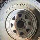 كاميرات سفاري أربع ما فيها أي شيء