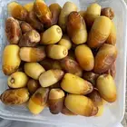 رطب صقعي للبيع