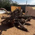 لا احد يدري ي الاخوان .