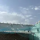 حمام فرنسي