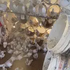 زاجل كريمي منتج