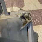 شمعات شاص 2016 وكاله