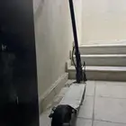 سكوتر كهربائي