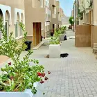 شجرة ليمون صيني