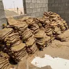 تمر برحي نفيع