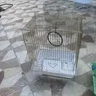 اقفاص للبيع