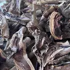 حطب مستورد ممتاز