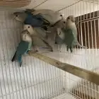 طبات روز ( تم البيع )