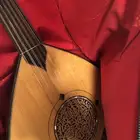 عود