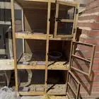 زوج رقاص منتج شرط