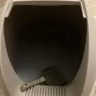 اغراض قطط للبيع