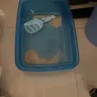 بكس الرمل 30 ريال