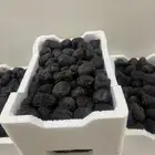 تمر عجوة المدينه