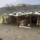 شبك 2 4 معها 40 سطل هديه