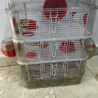 للبيع قفص هامستر كبير