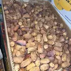 تمر للبيع كرتون وزن 20 كيلو تمر رشودية فاخرة