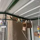 مطيرة أجواز روز منتجه