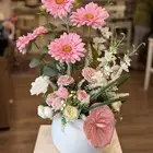 مطلوب منسق زهور وحفلات