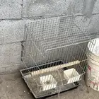 اغراض متعدداه على اسوم