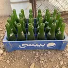 صناديق بيبسي