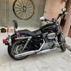 دباب ديفيدسون 2010