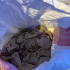 خبز للحلال