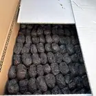 عجوة المدينة الكيلو ب 50