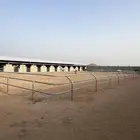 مربط خيل لخدمات الايواء