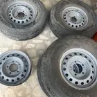 للبيع جنوط هلل للربع والشاص