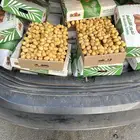 تمر برحي