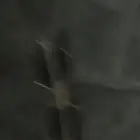نظارات شمسية