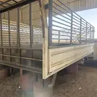 صندوق دنا جديد