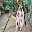 معلم مشويات خارجي