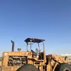 شيول