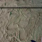 اكسبيديشن