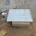 شبك طيور للبيع