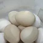 بيض بلدي لبيع بيض اليوم والبارحه الطبق ب 30 ريال و10 حبات
