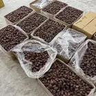 تمر خضري