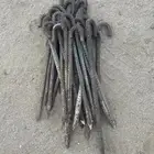 اطناب ( طنب ) للخيام