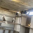 حمام مشكل فيه بلجيكي وشرازي وقطفي وحمام كش