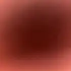 ابحث