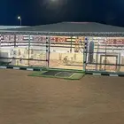 مخيم اجار يومي