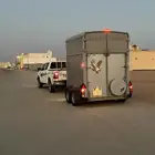 عربة نقل خيل فورليم المانيه