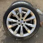 قطم جنوط كليزلر 2017