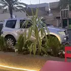 باجيرو ربع 2010