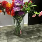 فازات