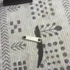 صبيا